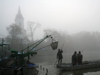 Výlov rybníka Bošilecký