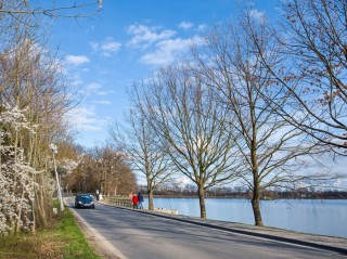 Rybník Svět v Třeboni