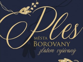 9.1. Ples Města Borovany