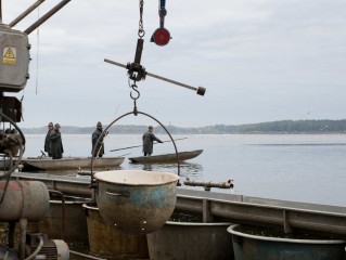 Slavnostní výlov Rožmberka 2025