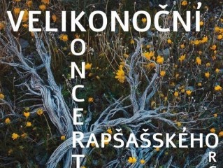 Rapšašský komorní orchestr - koncert na zámku