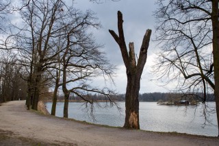 Třeboň předjaří