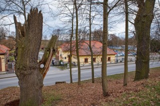 Třeboň předjaří