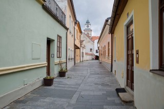 Třeboň předjaří