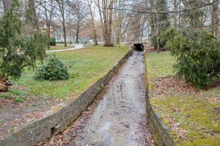 Třeboň předjaří