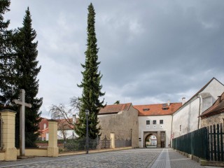 Předjaří v Třeboni na fotografii