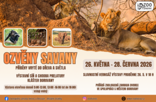 Výstava  afrického art umění v Borovanech