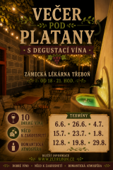Večery pod platany