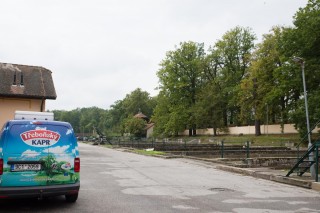 Prodejna a zpracovna ryb Sádky Třeboň
