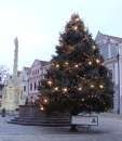 Advent 2008 na Třeboňsku
