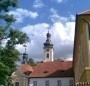 Borovany - kalendář akcí leden 2009