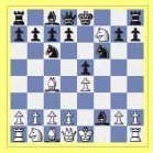 Šachy se Šachlíkem aneb Šachový kroužek