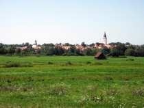 Mokré louky Třeboňska - přednáška