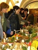Víkend ve znamení hub - program 2011