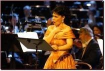 Pražský komorní orchestr - MHF TN 2012