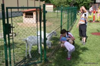 Velkou atrakcí na Louce jsou dvě mladé kozičky, které se s dětmi vždy velmi rychle spřátelí. Zvláště když dostanou trochu sena!