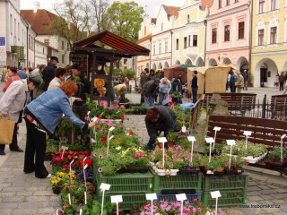 Květinová Třeboň 2009