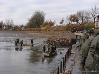 Pohled na úplně vypuštěné loviště rybníka Svět (21. 11.)