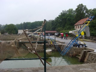 V sobotu Sádky a prodejna Rybářství Třeboň praskaly ve švech. V neděli pršelo, ale přesto mnozí přišli i v tento den otevřených dveří.