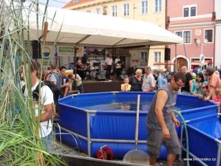 Rybářskou výstavu včetně expozice živých ryb na náměstí zajišťuje místní střední rybářská a vodohospodářská škola.
