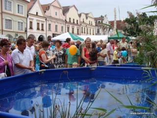 Expozice živých ryb se těší velkému zájmu, a to nejen z řad dětí